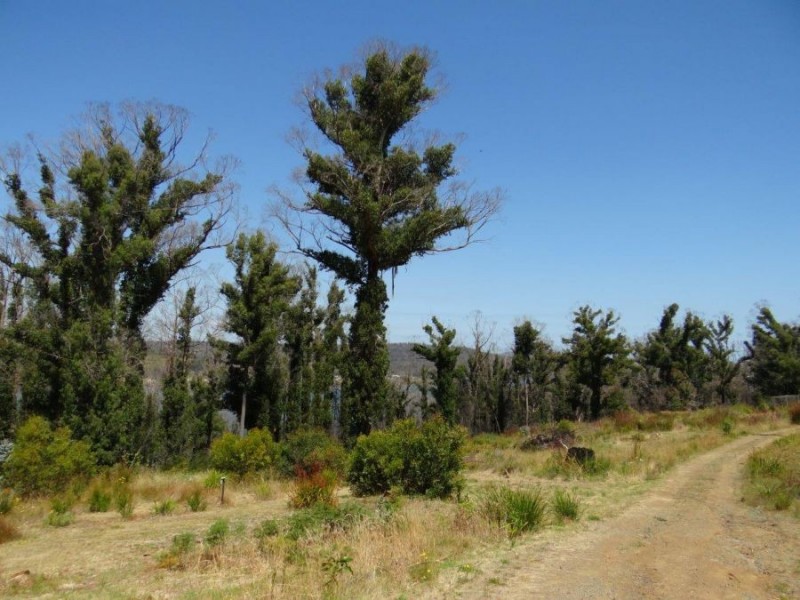 3834 Arthur Highway, Murdunna TAS 7178