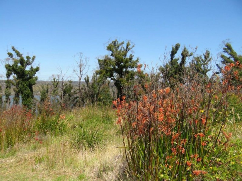 3834 Arthur Highway, Murdunna TAS 7178