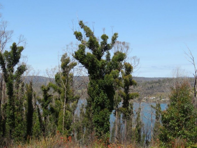 3834 Arthur Highway, Murdunna TAS 7178
