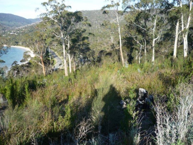 Lot 4/33 Kerstan Court, White Beach TAS 7184