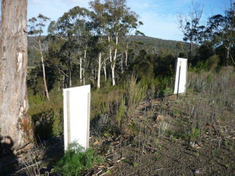 Lot 4/33 Kerstan Court, White Beach TAS 7184