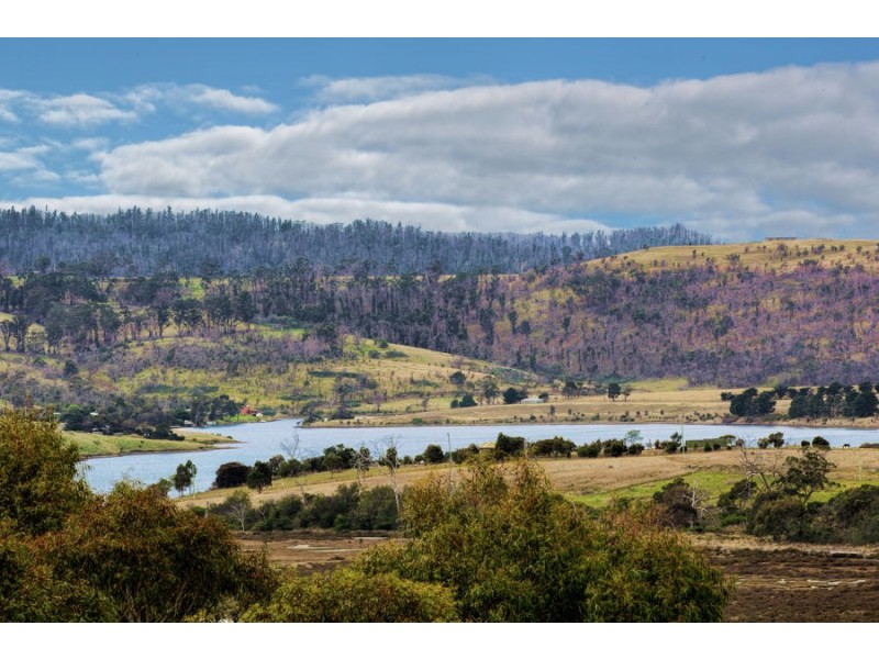 8 Wedgetail Street, Primrose Sands TAS 7173