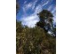 Lot 4 Roaring Beach Road, Nubeena TAS 7184