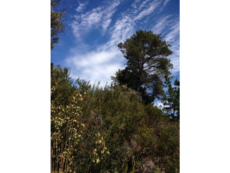 Lot 4 Roaring Beach Road, Nubeena TAS 7184