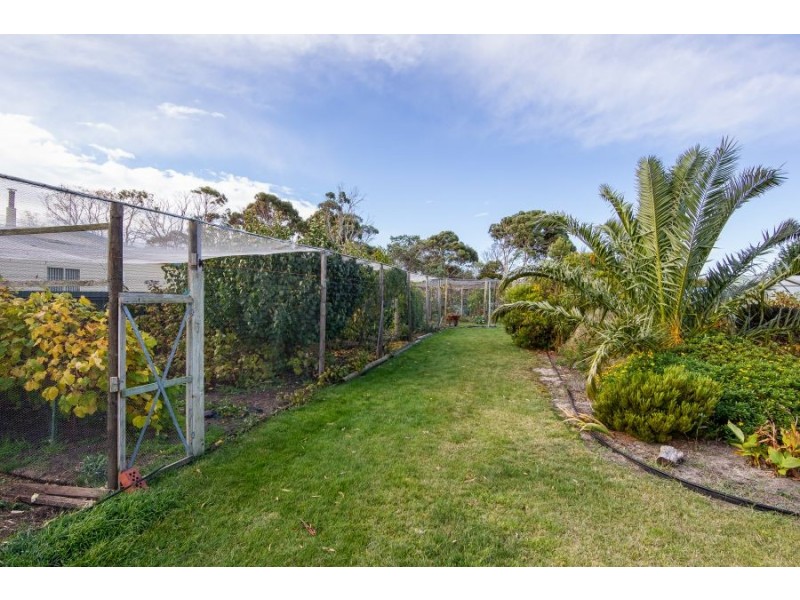 573 Marion Bay Road, Marion Bay TAS 7175