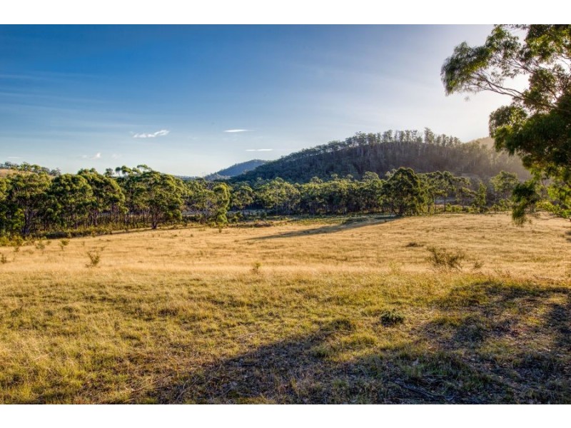 507 Kellevie Road, Kellevie TAS 7176