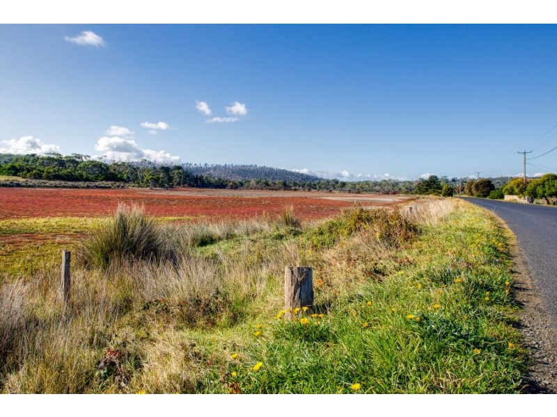 84 Tamarix Road, Primrose Sands TAS 7173
