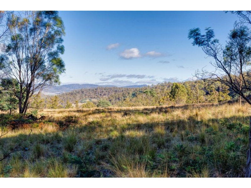 Lot 1 Rabbit Hill Road, Colebrook TAS 7027