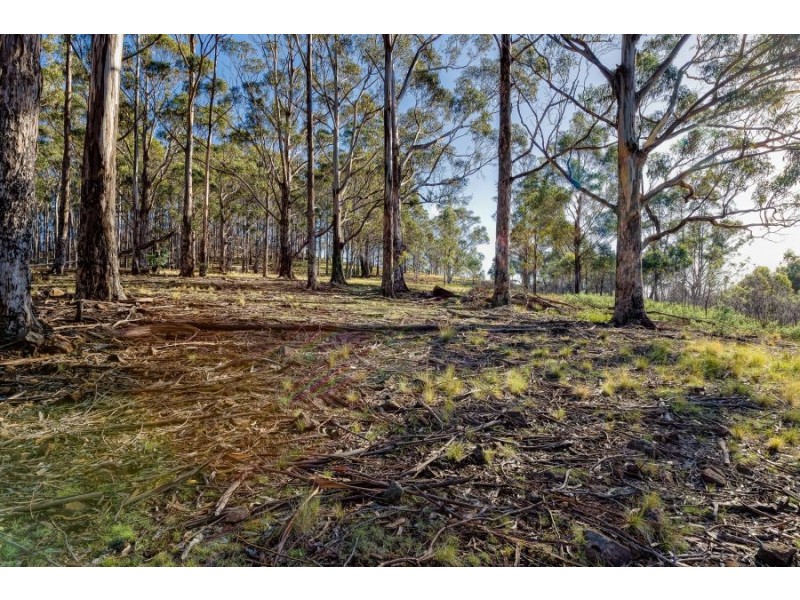 Lot 1 Rabbit Hill Road, Colebrook TAS 7027