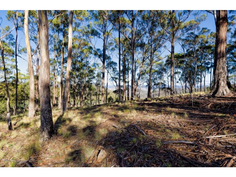 Lot 1 Rabbit Hill Road, Colebrook TAS 7027
