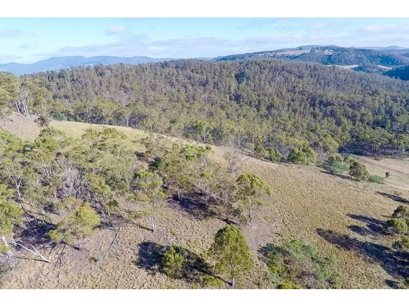 Lot 1 Rabbit Hill Road, Colebrook TAS 7027