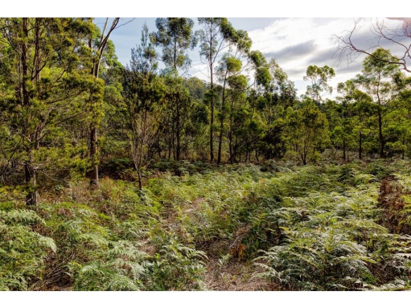 Lot 1 Happy Valley Road, Spring Beach TAS 7190