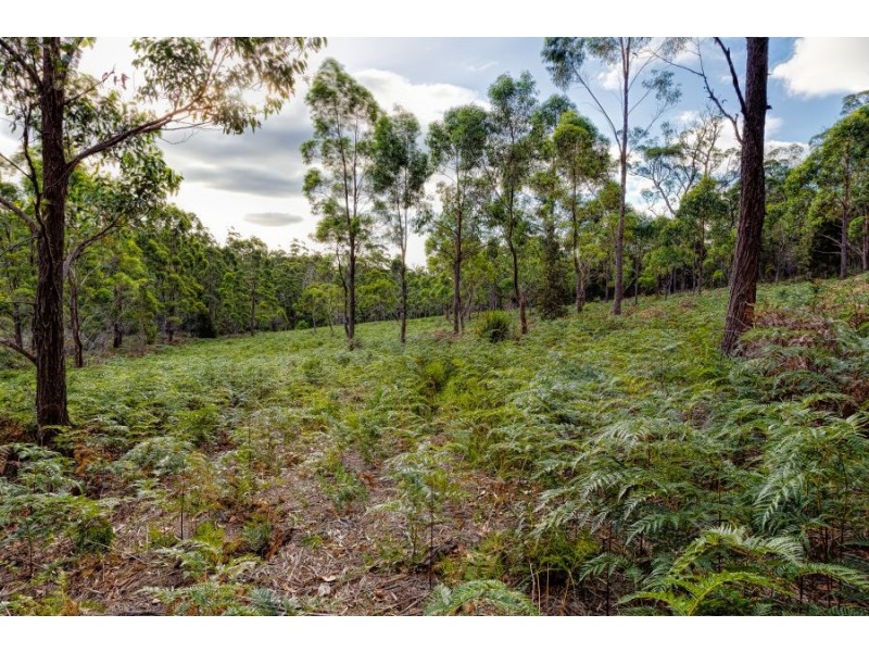 Lot 1 Happy Valley Road, Spring Beach TAS 7190