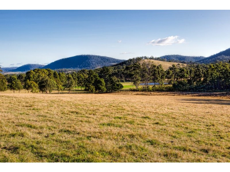 477 Kellevie Road, Kellevie TAS 7176