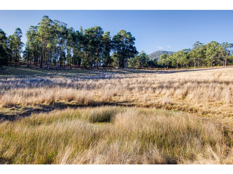 477 Kellevie Road, Kellevie TAS 7176