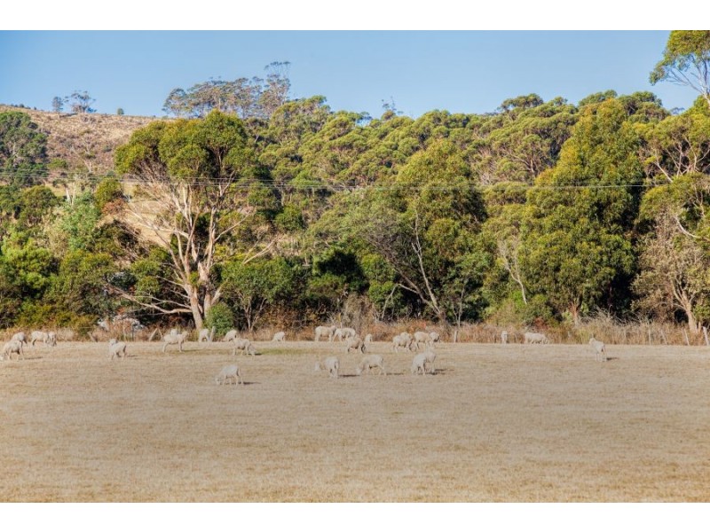 477 Kellevie Road, Kellevie TAS 7176