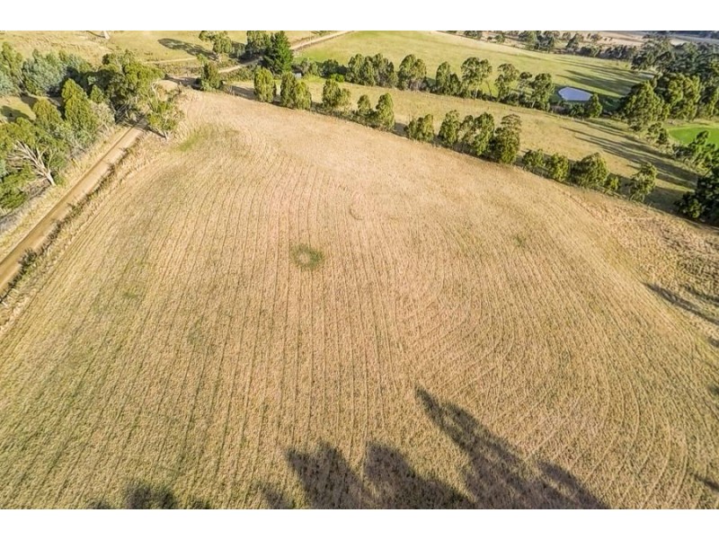 477 Kellevie Road, Kellevie TAS 7176