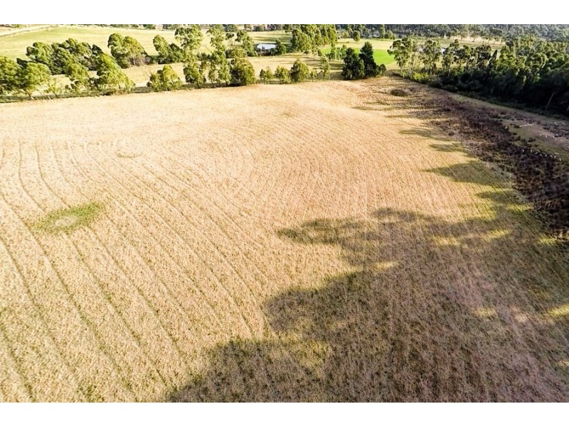 477 Kellevie Road, Kellevie TAS 7176