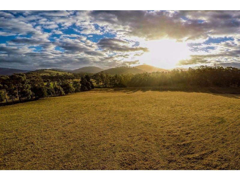 477 Kellevie Road, Kellevie TAS 7176