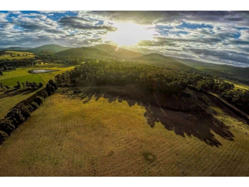 477 Kellevie Road, Kellevie TAS 7176