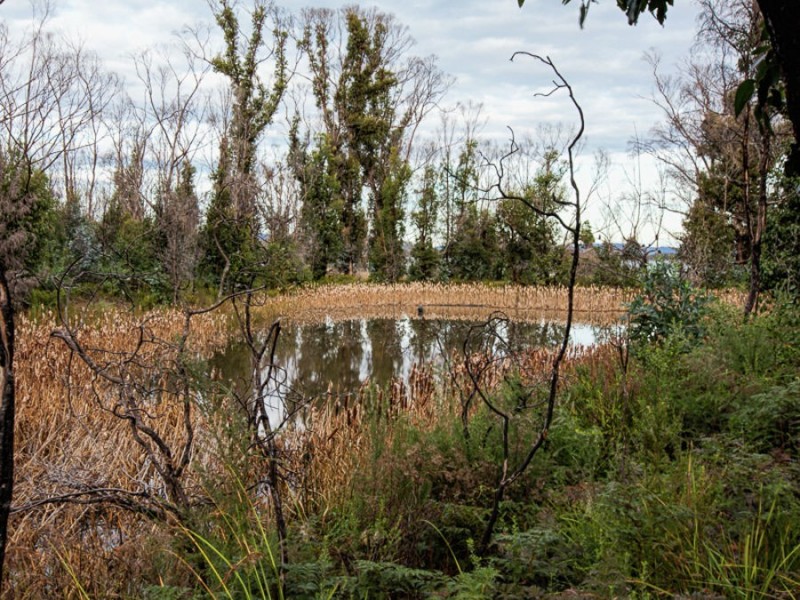 3670 Arthur Highway, Murdunna TAS 7178