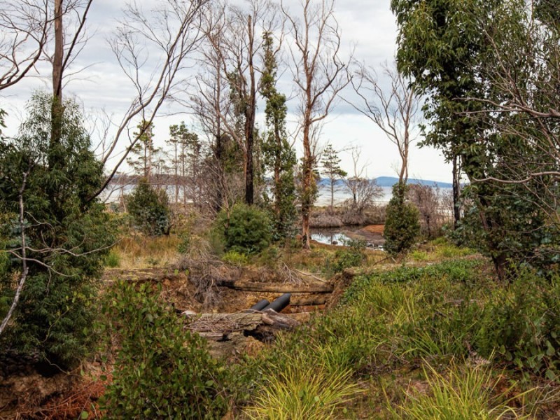 3670 Arthur Highway, Murdunna TAS 7178