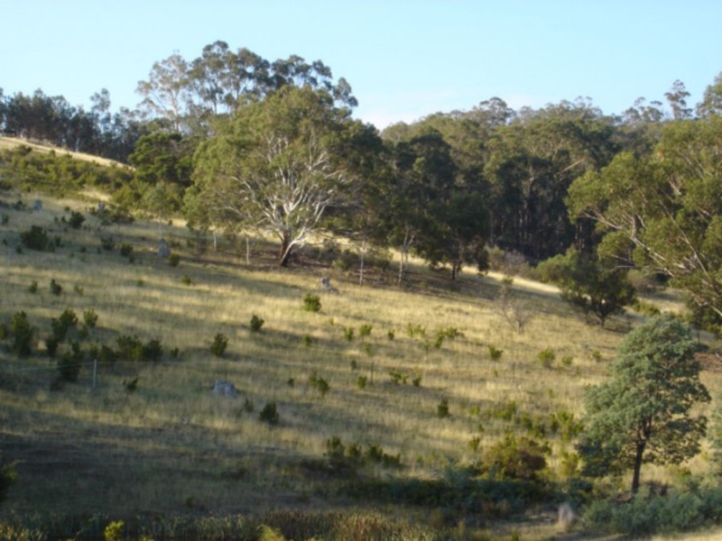 2/27 Topley Drive, Forcett TAS 7173