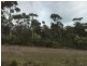 312 Heatherbell Road, Forcett TAS 7173