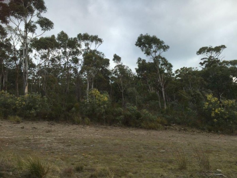 312 Heatherbell Road, Forcett TAS 7173