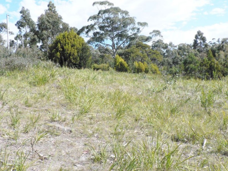 Lot 1 White Beach Road, White Beach TAS 7184