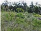 Lot 1 White Beach Road, White Beach TAS 7184