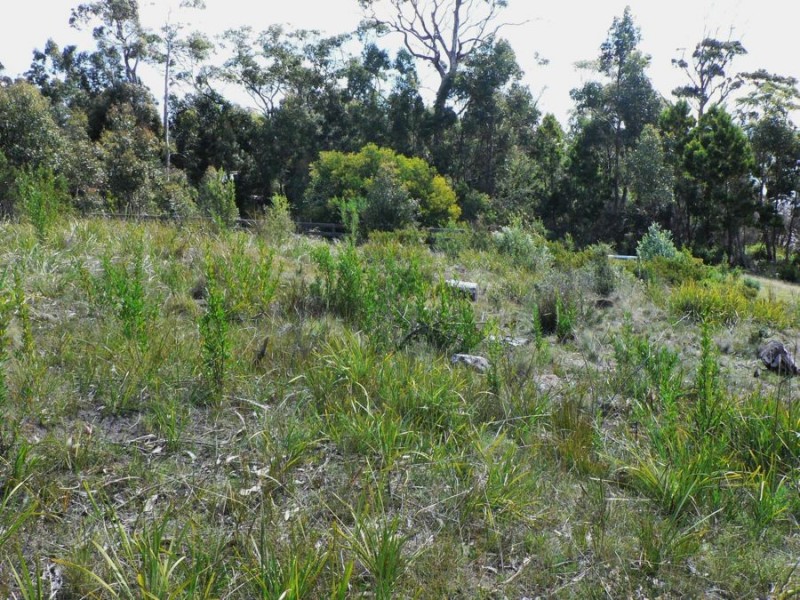 Lot 1 White Beach Road, White Beach TAS 7184