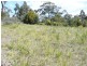 Lot 1 White Beach Road, White Beach TAS 7184