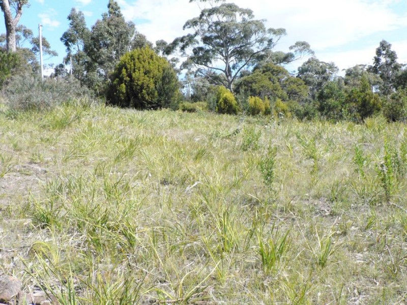 Lot 1 White Beach Road, White Beach TAS 7184