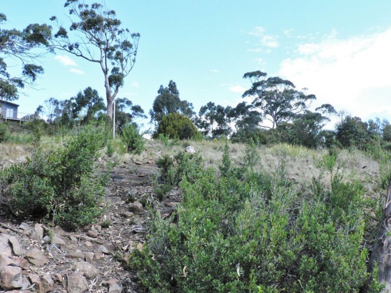 Lot 1 White Beach Road, White Beach TAS 7184
