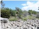 Lot 1 White Beach Road, White Beach TAS 7184