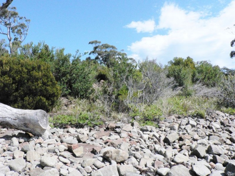 Lot 1 White Beach Road, White Beach TAS 7184