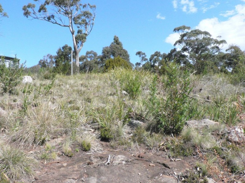 Lot 1 White Beach Road, White Beach TAS 7184