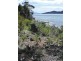 Lot 1 White Beach Road, White Beach TAS 7184