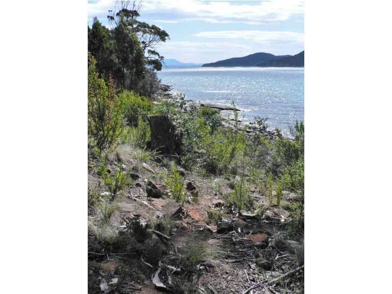 Lot 1 White Beach Road, White Beach TAS 7184