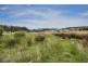 9 Heatherbell Road, Forcett TAS 7173