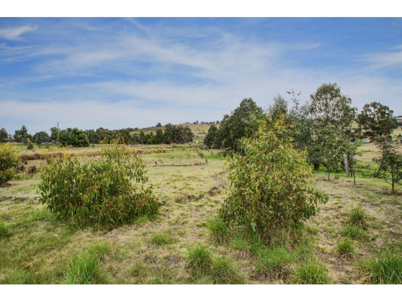 9 Heatherbell Road, Forcett TAS 7173