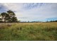 Lot 1/425 Bay Road, Boomer Bay TAS 7177