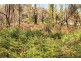 Lot 2 Sommers Bay Rd, Murdunna TAS 7178