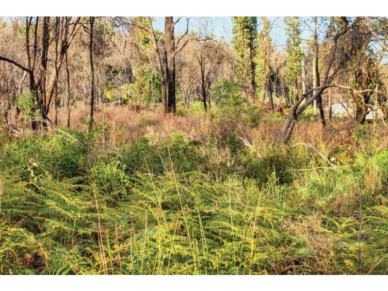 Lot 2 Sommers Bay Rd, Murdunna TAS 7178
