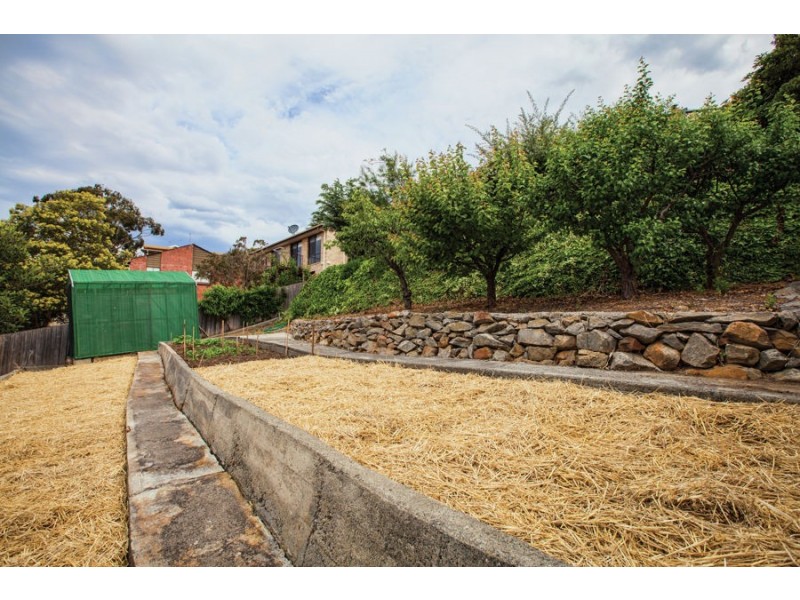 36 St Helens Street, Lindisfarne TAS 7015