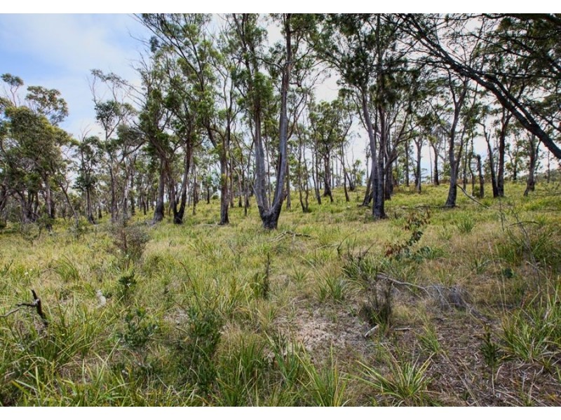 Lots A- B- C Arthur Highway, Murdunna TAS 7178