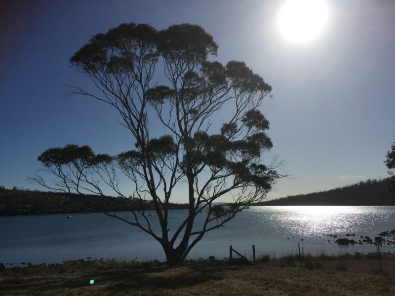 3978 Arthur Highway, Murdunna TAS 7178