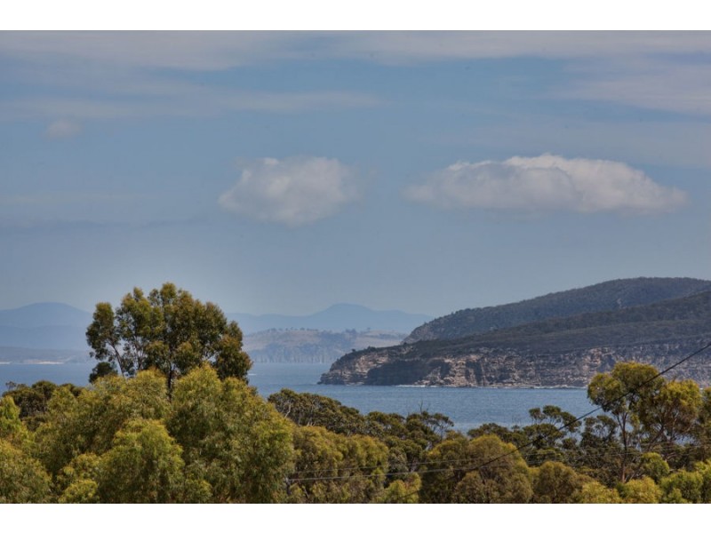 41 Skeggs Avenue, White Beach TAS 7184