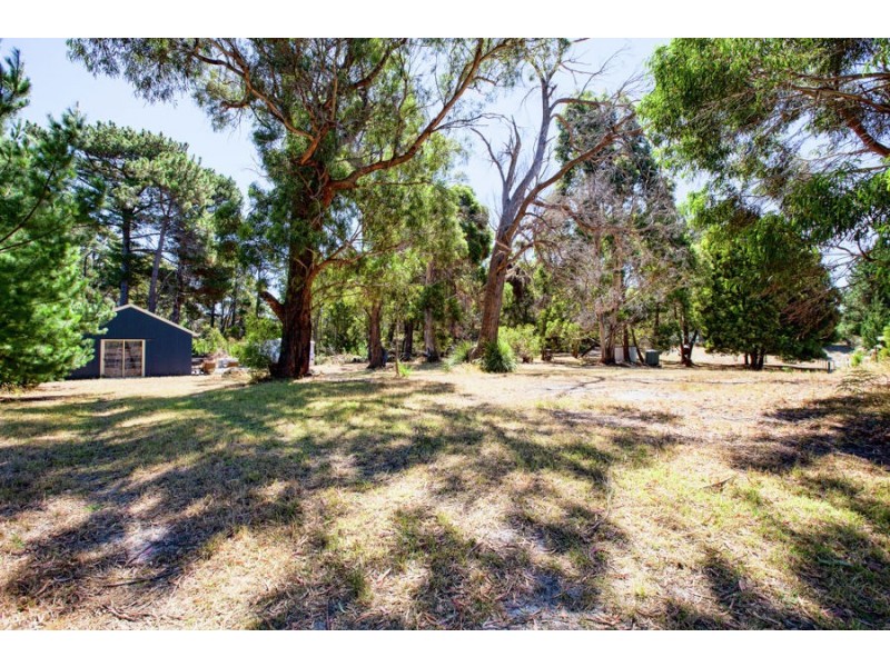 99 White Beach Road, White Beach TAS 7184